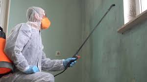 Best Residential Mold Inspection & Testing  in Doylestown, OH