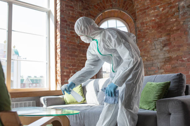  Doylestown, OH Mold Removal & Remediation Pros